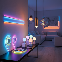 Lighting & LED Strips