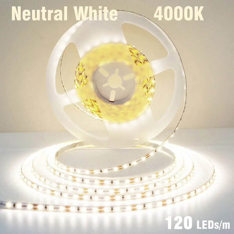 5mm 8mm LED Strip 2835 DC24V 12V 120LEDs/m Home Lamp Strips Red Ice Blue - LED Strip Light - view 8