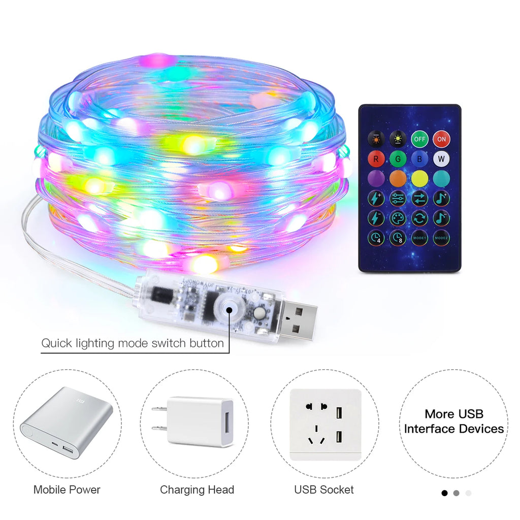 WS2812B RGBIC LED String 20m 10m 5m USB Fairy Lights Dreamcolor DIY Smart IC - Home Improvement - view 2