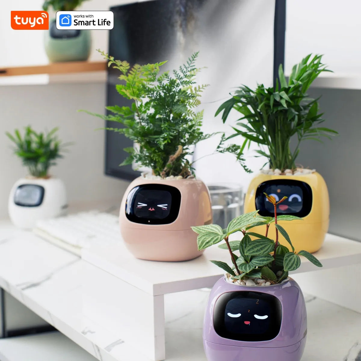 Gen1 Tuya Ivy Smart Planter, Endless Fun Over 49 Rich Expressions, 7 smart sensors, AI - Home Improvement - view 6