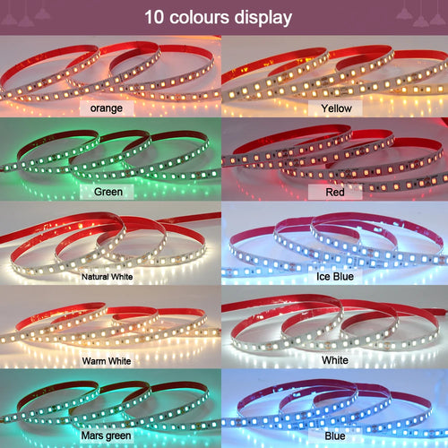 12V 24V 5m 10m 20m 50m 100m LED Strip Light 2835 120 LEDs Flexible - LED Strip Light - view 2