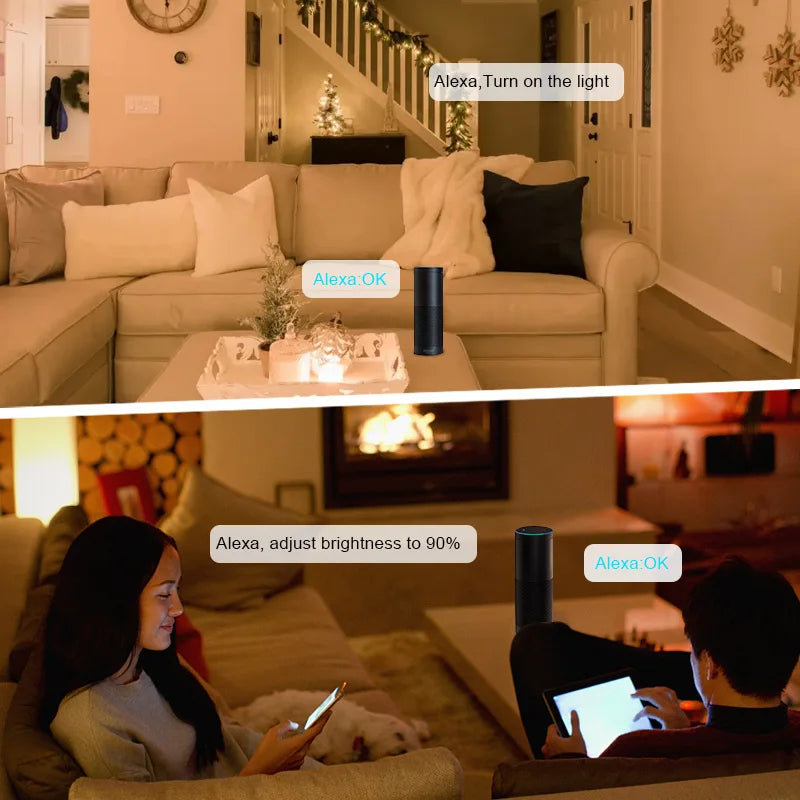 Tuya WiFi LED Controller Alexa Google Home Voice Control RGB RGBW CCT LED Strip - LED Strip Light - view 5