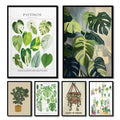 Canvas Wall Art