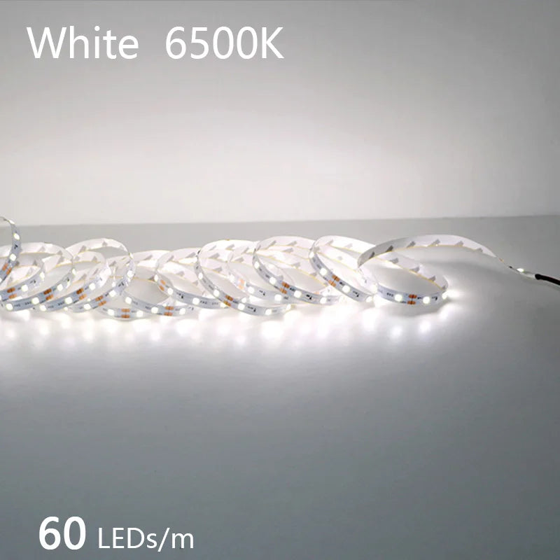 2835 5M 300 600 1200LEDs LED Strip DC12V 24V 120LEDs/m Home Waterproof IP65 Lamp - LED Strip Light - view 7