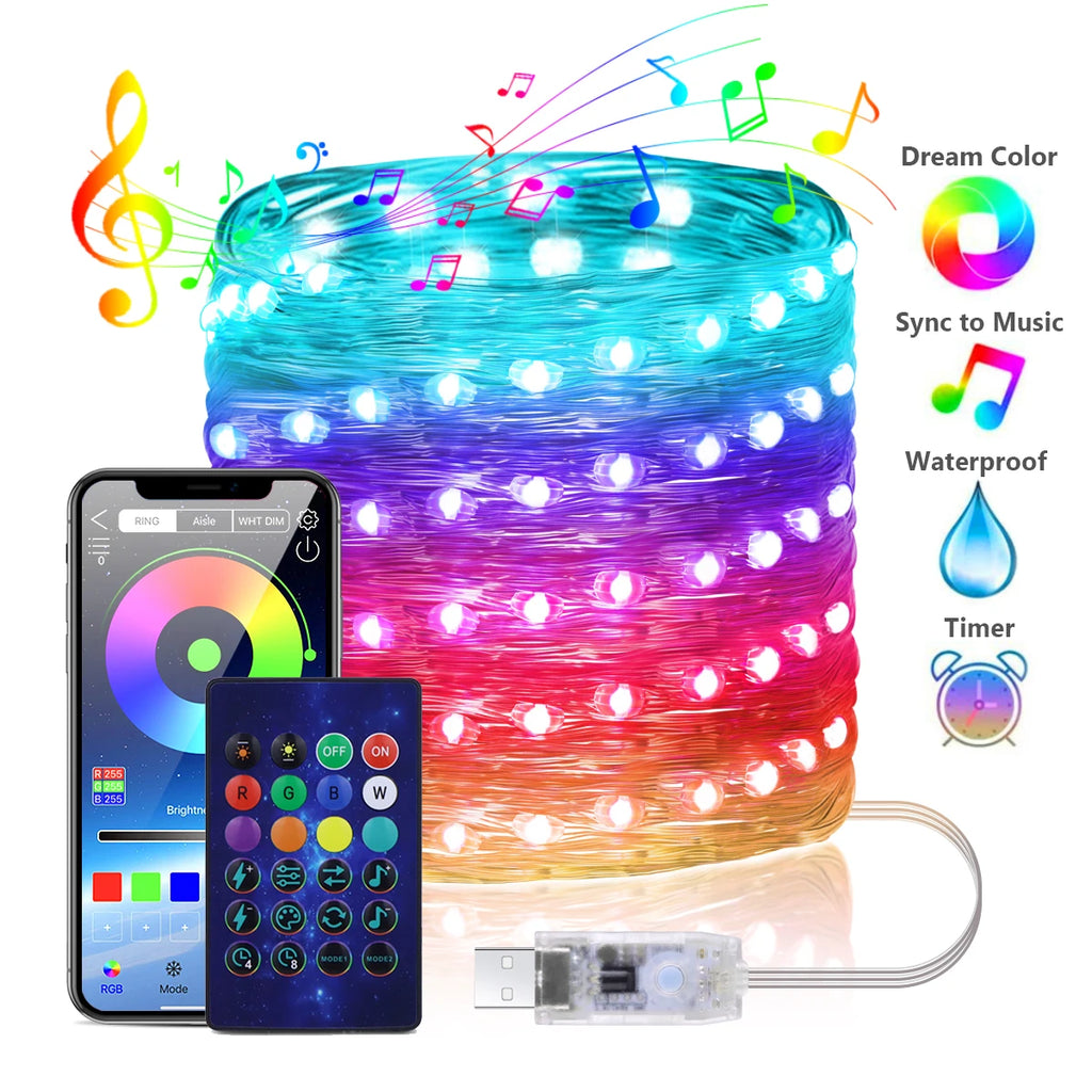 WS2812B RGBIC LED String 20m 10m 5m USB Fairy Lights Dreamcolor DIY Smart IC - Home Improvement