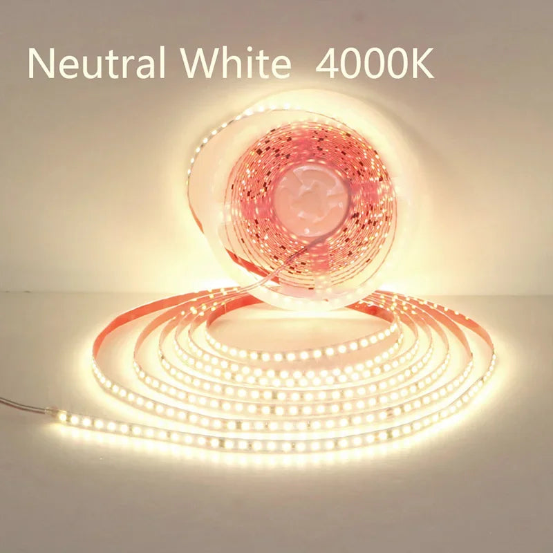 AC220V 230V 5M 600 LED Strip 2835 120LEDs/m Home Lamp Strip Red Ice Blue - LED Strip Light - view 8