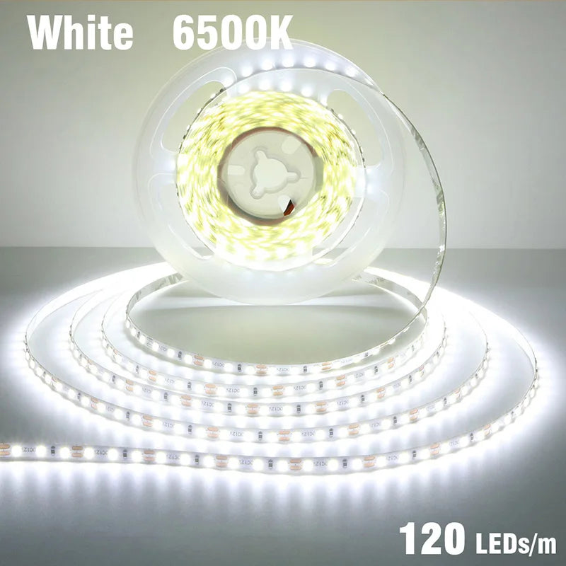 5mm 8mm LED Strip 2835 DC24V 12V 120LEDs/m Home Lamp Strips Red Ice Blue - LED Strip Light - view 7