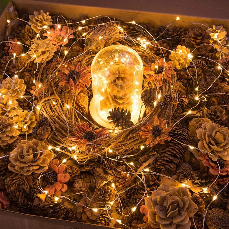 USB LED String Lights Copper Wire Fairy Warm White Garland Home Christmas Wedding Holiday - Home Improvement - view 3